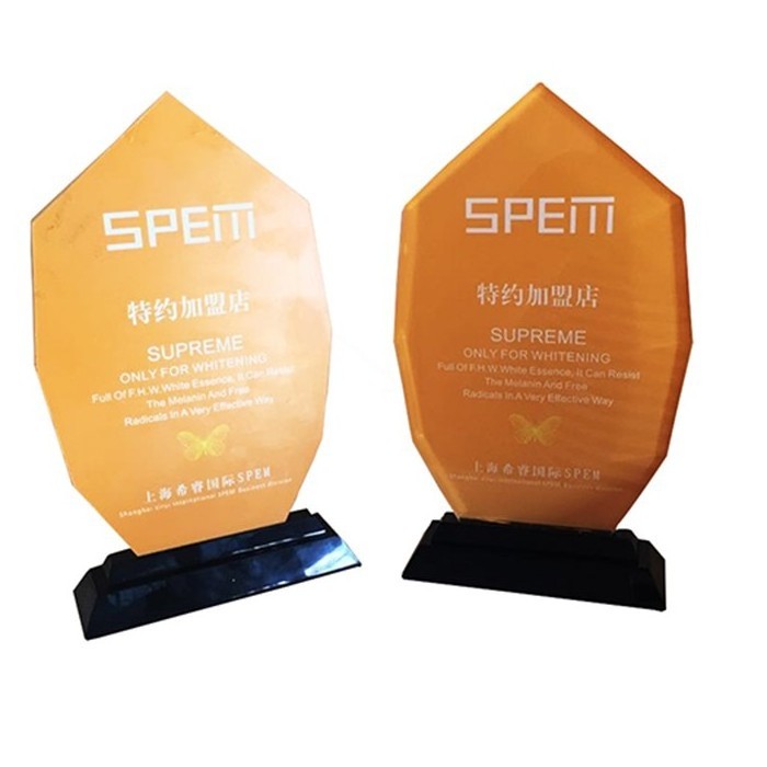 Hot sale acrylic awards and trophies