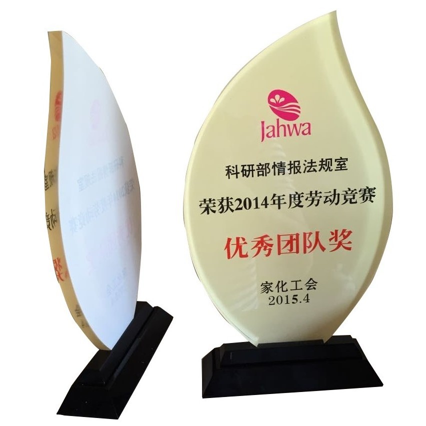 Hot sale acrylic awards and trophies