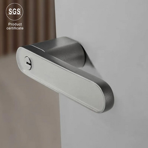 Durable Zinc Alloy Indoor Door Handle Home Decoration Interior Zinc Ecological Door Handle Lock