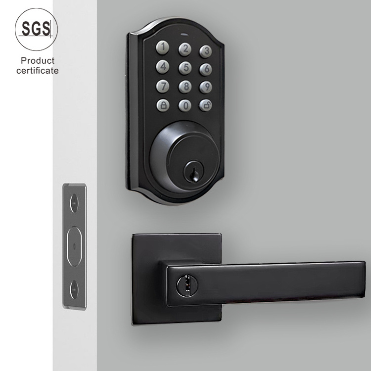 Home Modern black door Handles lever black lever door Handles for America market With Smart lock