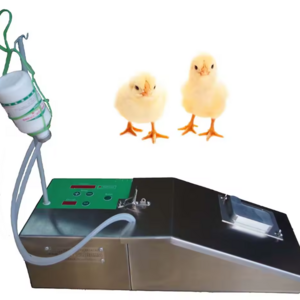 Chicken Duck And Goose Continuous Syringe Incubation Poultry Incubator Automatic Counting Vaccination Equipment