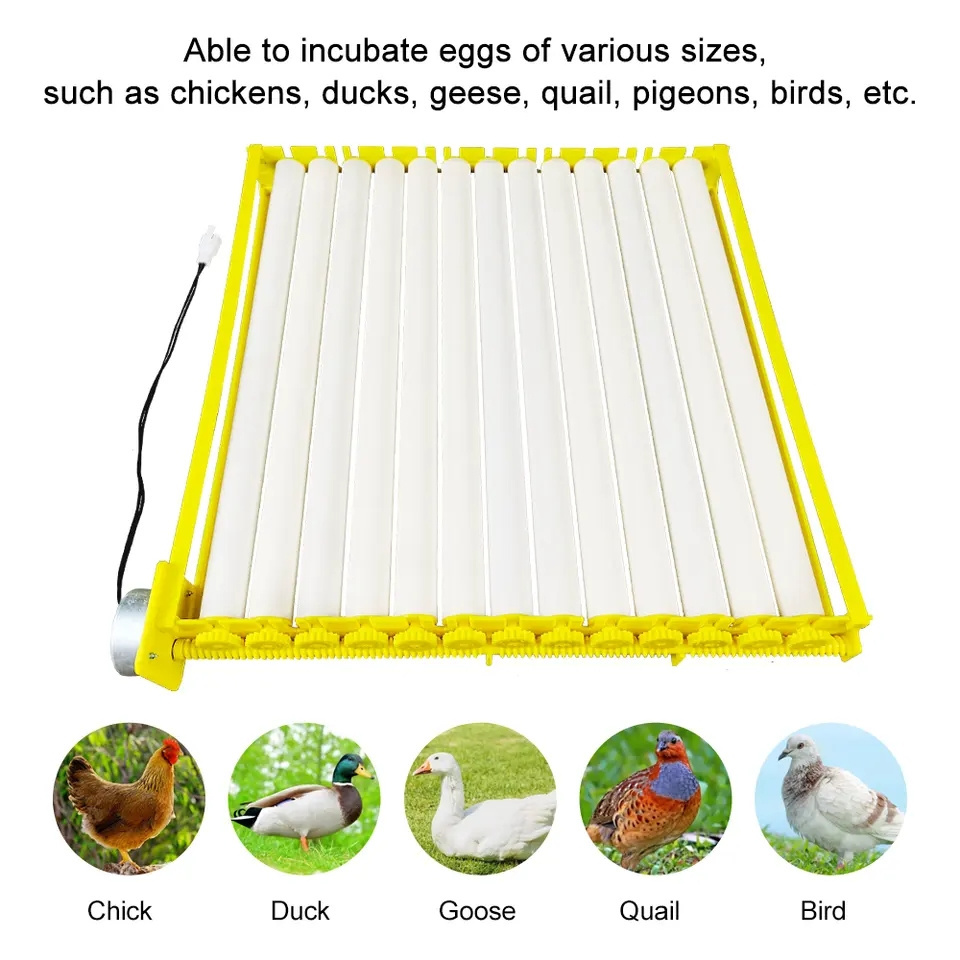 Machine Mini Tray Automatic Hatching Egg Incubator For Sale