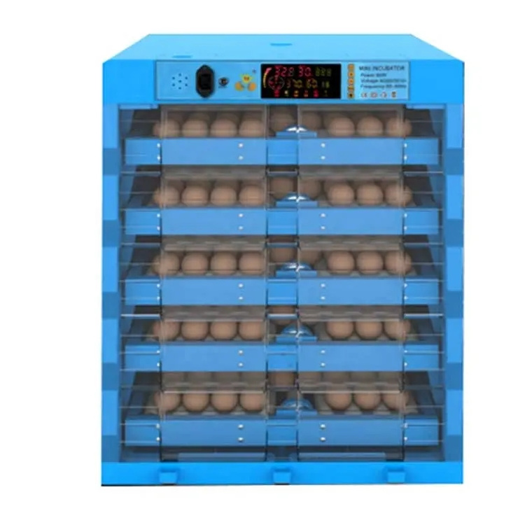 Automatic 12V DC 110V 220V AC Power Supply Duck Chicken Incubator Egg Incubator