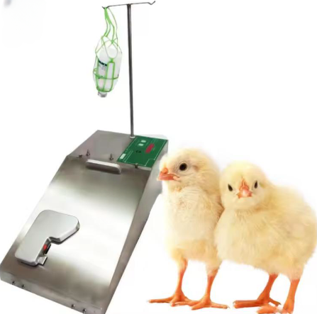 Chicken Duck And Goose Continuous Syringe Incubation Poultry Incubator Automatic Counting Vaccination Equipment