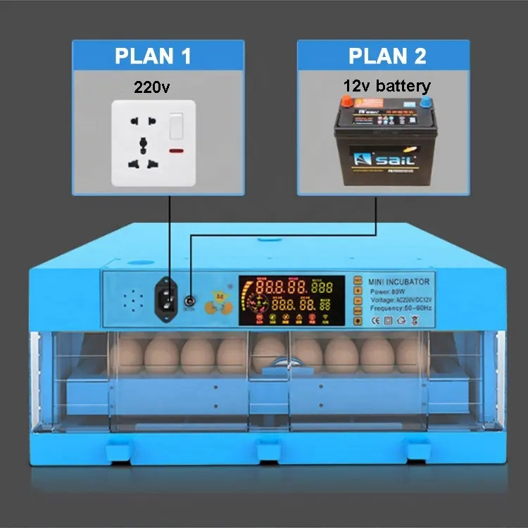 Automatic 12V DC 110V 220V AC Power Supply Duck Chicken Incubator Egg Incubator