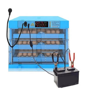 Automatic 12V DC 110V 220V AC Power Supply Duck Chicken Incubator Egg Incubator