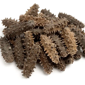 Dried Sea Cucumber Price Discount Fishery Dried Sea Cucumber For Sale