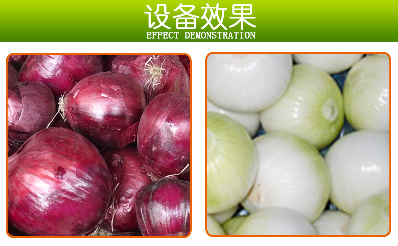 Full-automatic onion peeler/onion peeling machine/onion skin peeling removing machine for sale