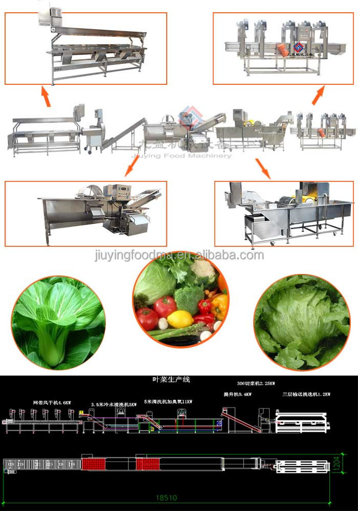 New Condition automatic preserved vegetable kimchi cutter washing processing production line/pickle manufacturing machines