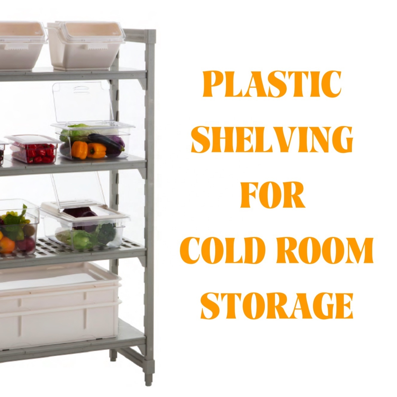 Warehouse Freezer Storage Shelving Restaurant Cold Room Shelving Plastic shelving for Canteen Hotel Cool Room