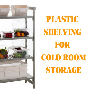 Warehouse Freezer Storage Shelving Restaurant Cold Room Shelving Plastic shelving for Canteen Hotel Cool Room