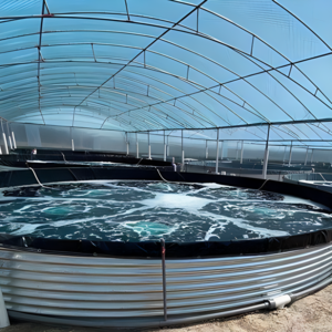 Wholesale Custom Economic Agricultural aquaculture RAS equipment fish pond Pvc canvas round fish pond shrimp pond