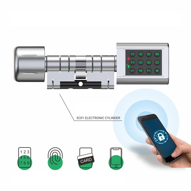 Euro Standard Smart Ttlock Tuya Blue Tooth App Adjustable Cylinder Size Electronic Password Card Key Lock