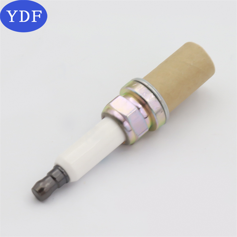 Hot Sell Car Spark Plug Standard Spark Plug Izfr6h11 for Bmw 650i 740li X5 Oem Carton Torch Spark Plugs