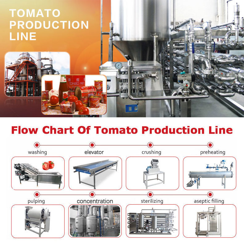 Concentrated Tomato Paste Processing Line Tomato Sauce Production Line Machine