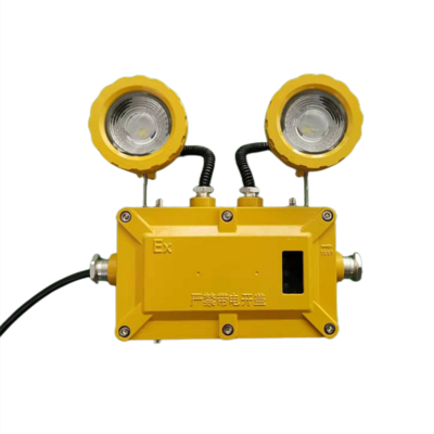 ATEX mickey and mouse led explosion proof emergency light fixture IP65 water proof rechargeable emergency lamps