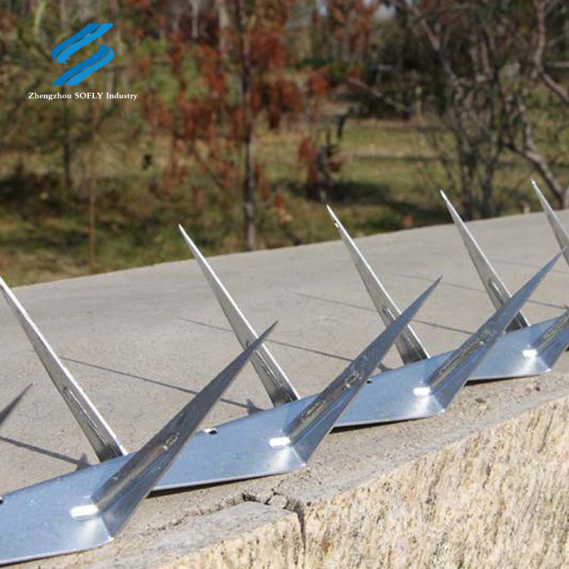 201 Stainless Steel Medium Size razor security anti climb wall spike are used on fences