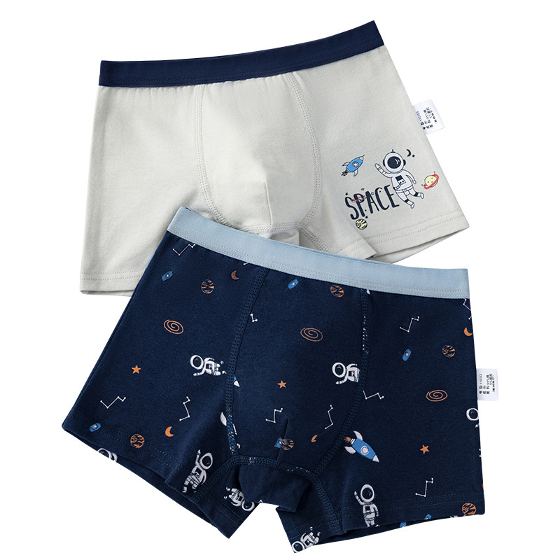 2Pcs Lot 2 To 14 Years Boys Boxer Elephant Dinosaur Design Cotton Briefs Children's Panties Soft Shorts ZL89 2Pcs Kids Underwear