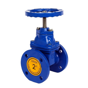 Price 50mm Cast Iron Resilient Seated flanged Gate Valves Ductile Cast Iron Gate Valve Box Prices