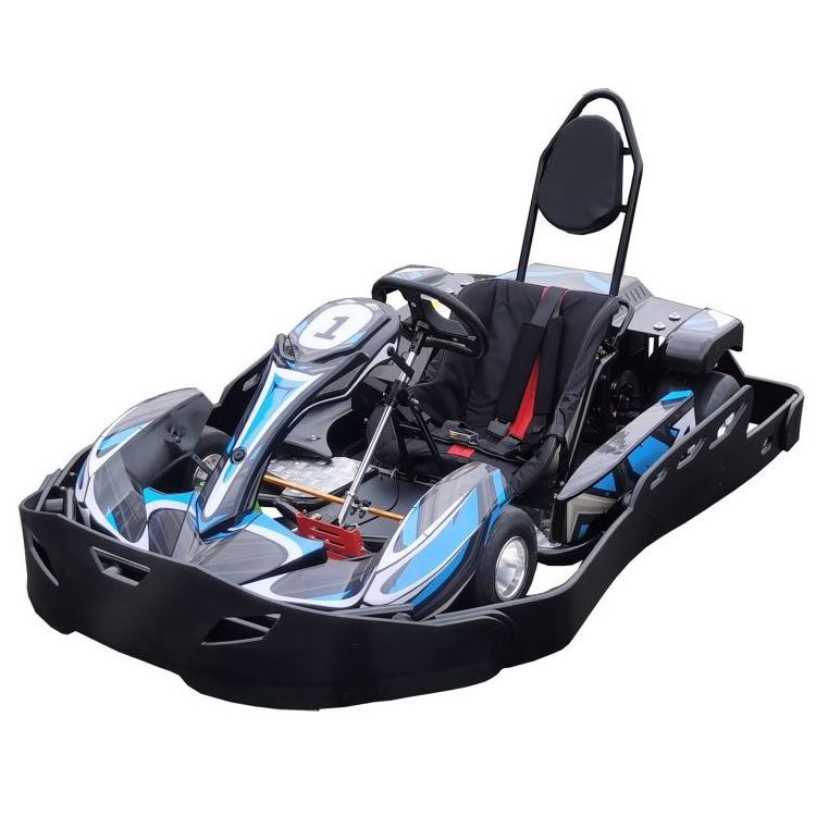 Adult electric go kart single seat go kart 5000W 8000W commercial electric go kart racing car