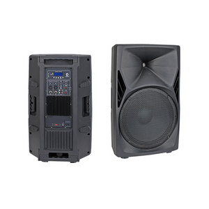 High Cost Performance 15 Inch PA Speaker RMS 500W Empty Automotive Amplifier Sound Box Portable Stage Outdoor Plastic Cabinet