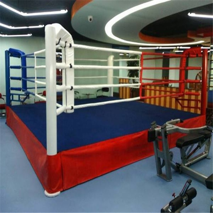 Aj AIBA Approved Martial Arts Championship 4*4M Professional 20 Ft Fighting Price Portable International Foldable Boxing Ring