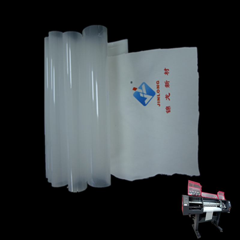 Hot Peel  PET Film Double Single Side 75 /100 Micron 30 33 60cm*100m DTF PET Film Roll For Transfer Heat Digital Printing