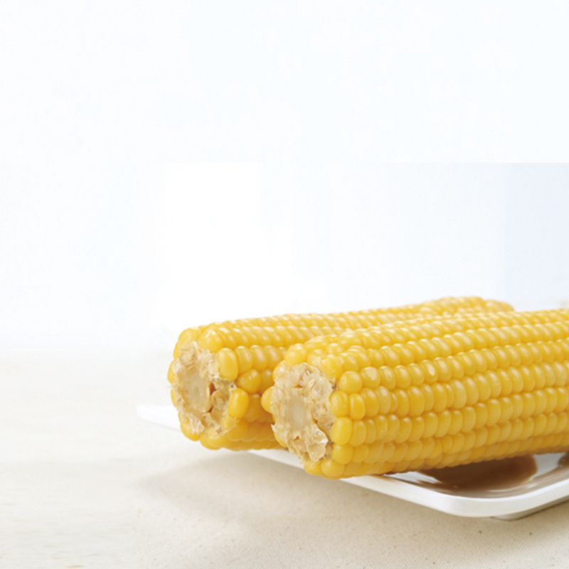 Fresh Sweet Yellow Corn with best quality