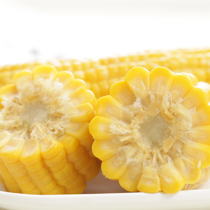 Fresh Sweet Yellow Corn with best quality