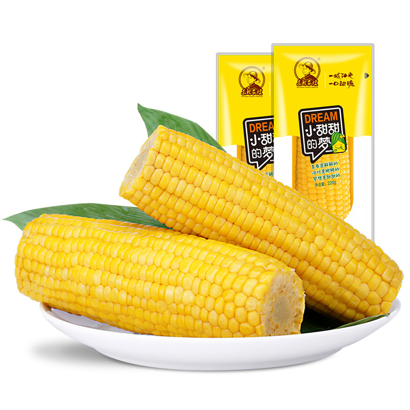 Fresh Sweet Yellow Corn with best quality