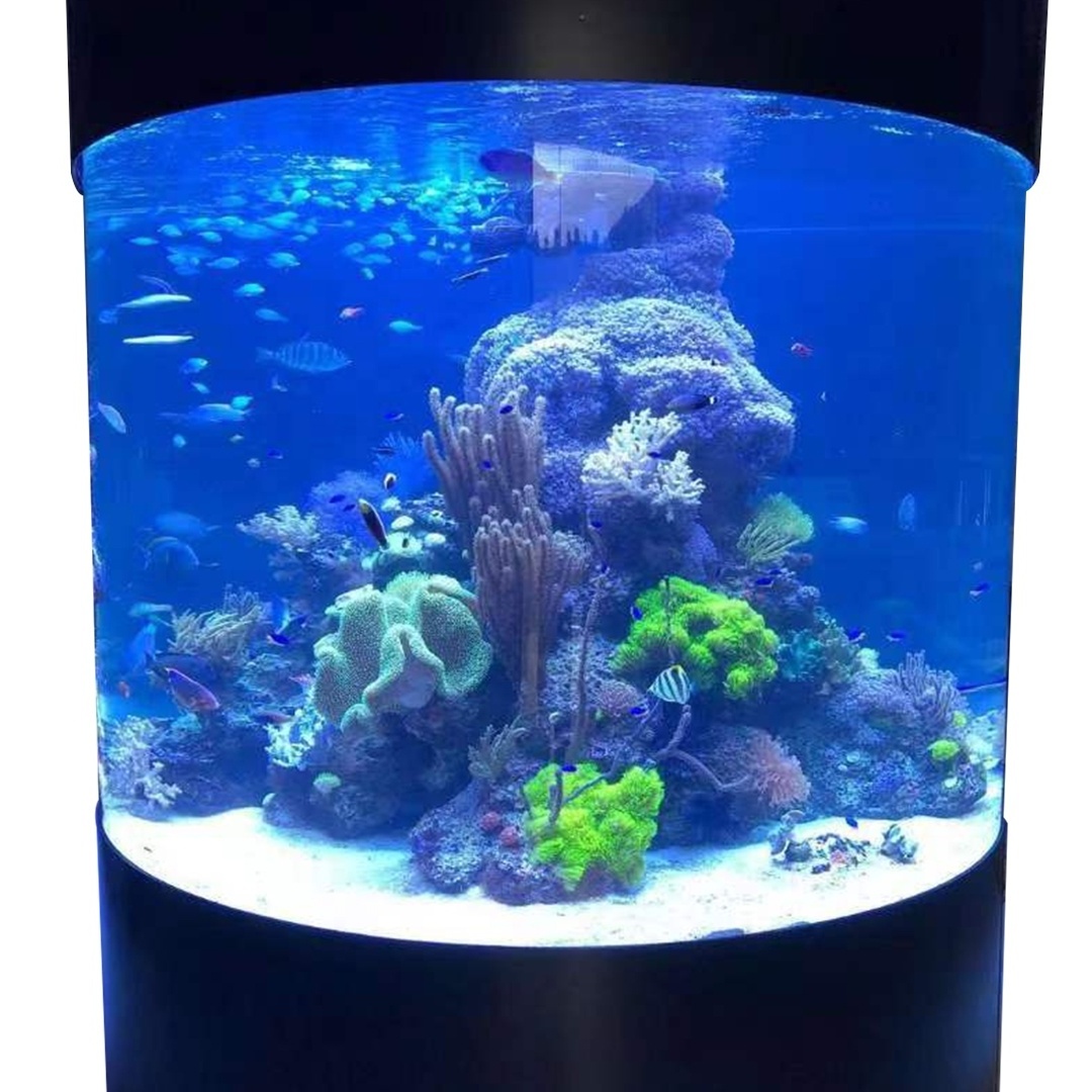 Fish Tank Acrylic Factory Custom Large Size Aquariums Sustainable  Acrylic Aquarium