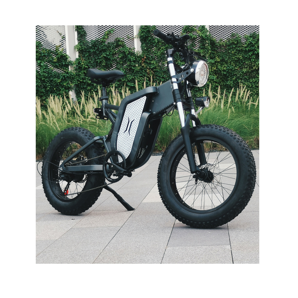 Newest CE Electric Fat Tire Snow Sand Bike 20*4.0 48V500W/750W/1000W 15/20/25Ah Lithium Battery 60km/h Aluminium Patent Frame