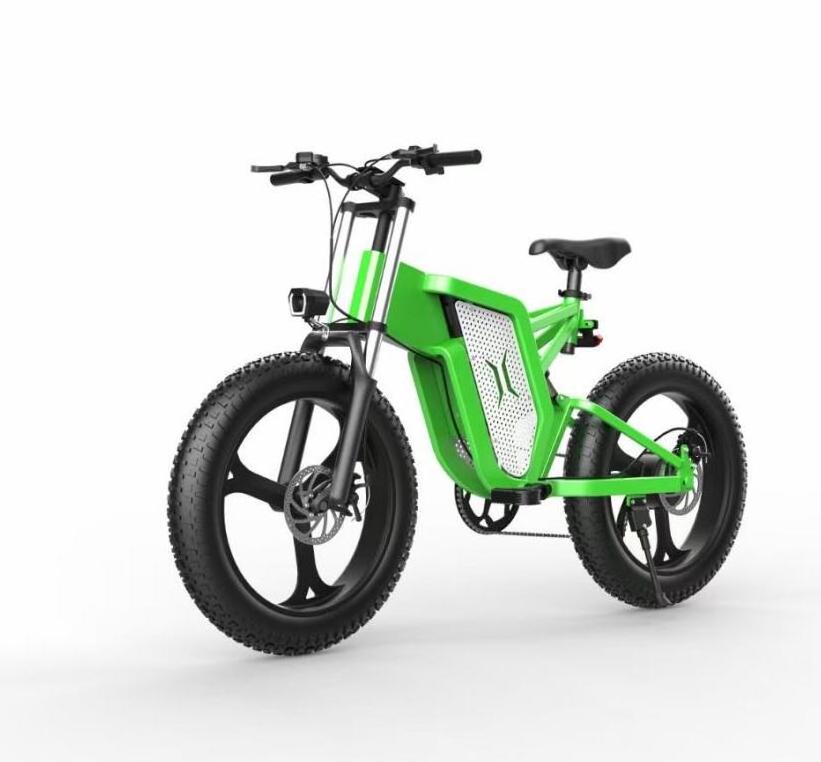 Newest CE Electric Fat Tire Snow Sand Bike 20*4.0 48V500W/750W/1000W 15/20/25Ah Lithium Battery 60km/h Aluminium Patent Frame