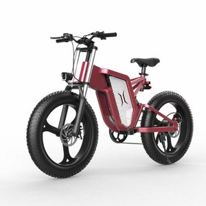 Newest CE Electric Fat Tire Snow Sand Bike 20*4.0 48V500W/750W/1000W 15/20/25Ah Lithium Battery 60km/h Aluminium Patent Frame