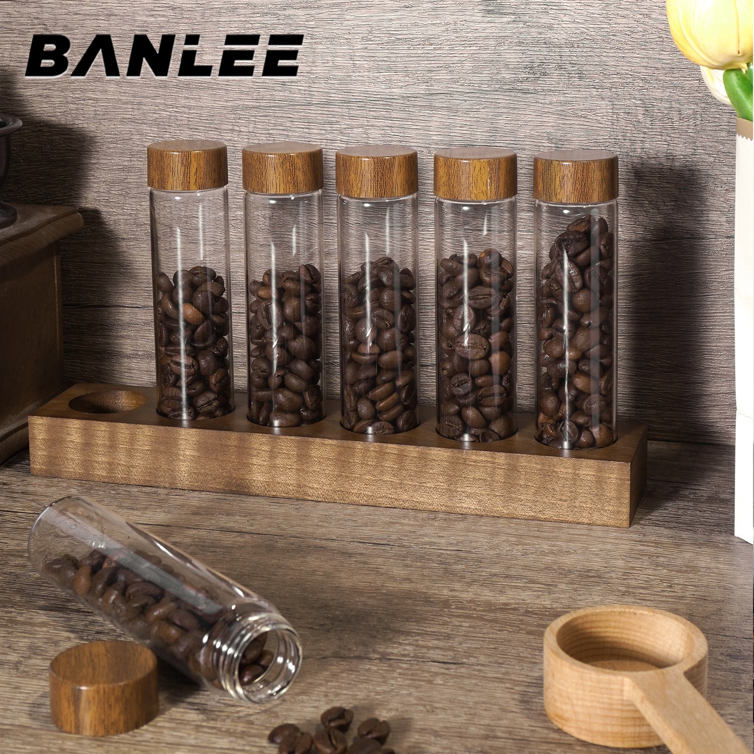 Walnut Wooden Display Rack Stand Glass Test Tubes For Single Dose Coffee Beans Storage Tubes Barista Tools Accessories