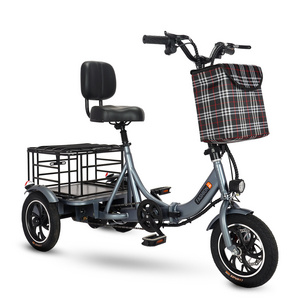 48V Adults City Mini Height Adjustable Folding Electric Cargo Tricycle with Back Seat