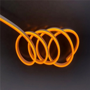 Silicone neon flexible strip light 12v for neon wall art