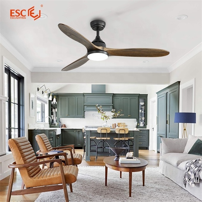 ESC home decorative 52 inch ceiling fan smart 5 speed remote control bldc motor ceiling fan with light