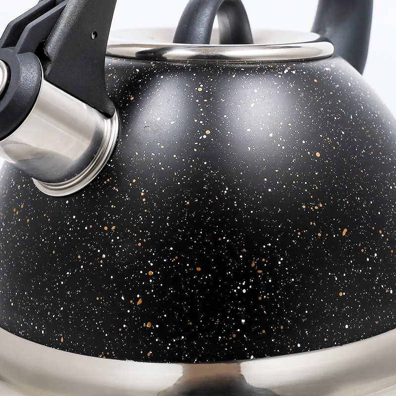 Black color painting stainless steel whistling tea kettle