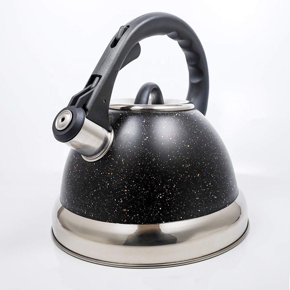 Black color painting stainless steel whistling tea kettle