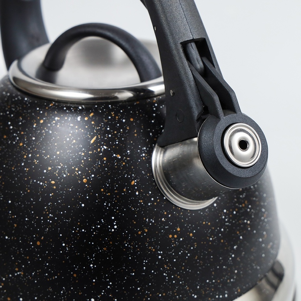 Black color painting stainless steel whistling tea kettle