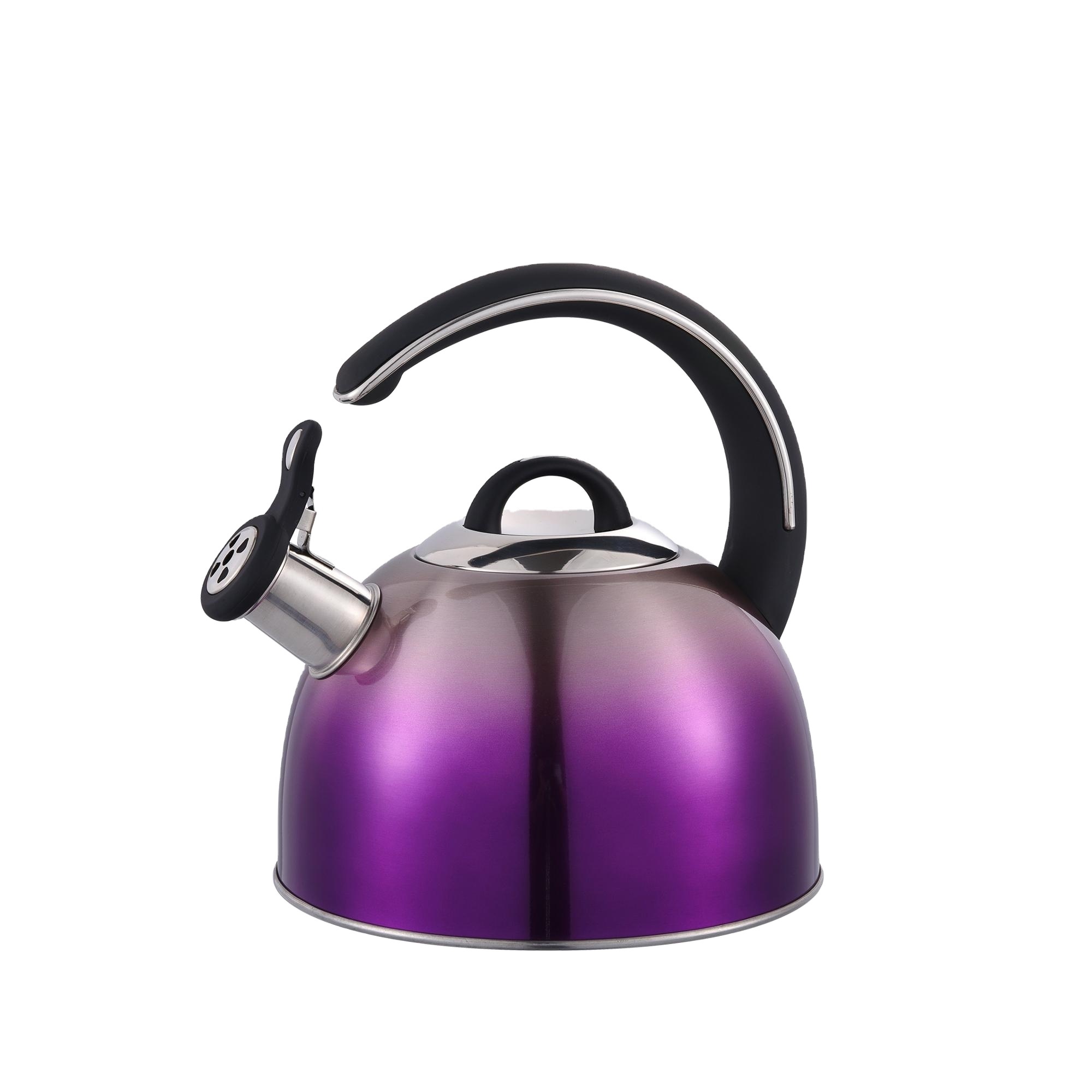 Cool Touch Ergonomic Handle stainless steel whistling kettle