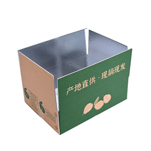 Aluminum Foil Insulated Thermal Box Carton For Food Cold Transport Carton Box Bubble Chamber With LOGO Printing