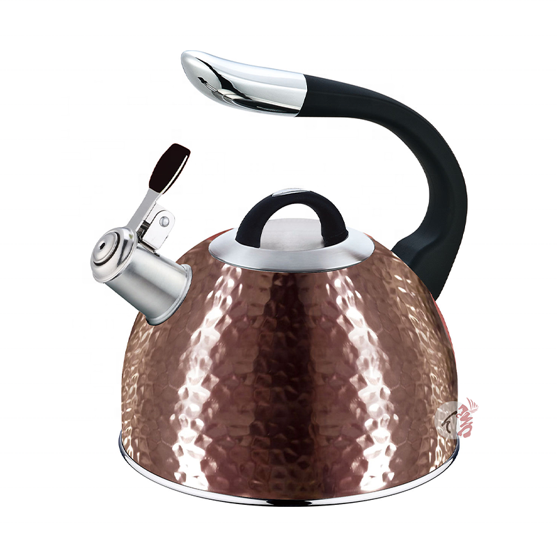 Realwin Stainless Steel Whistling Water Tea Kettle Induction Stove Top Gas Teapot