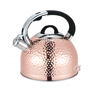 Realwin High Quality Unique Design Whistling Kettle Stainless Steel Water Kettle for Tea