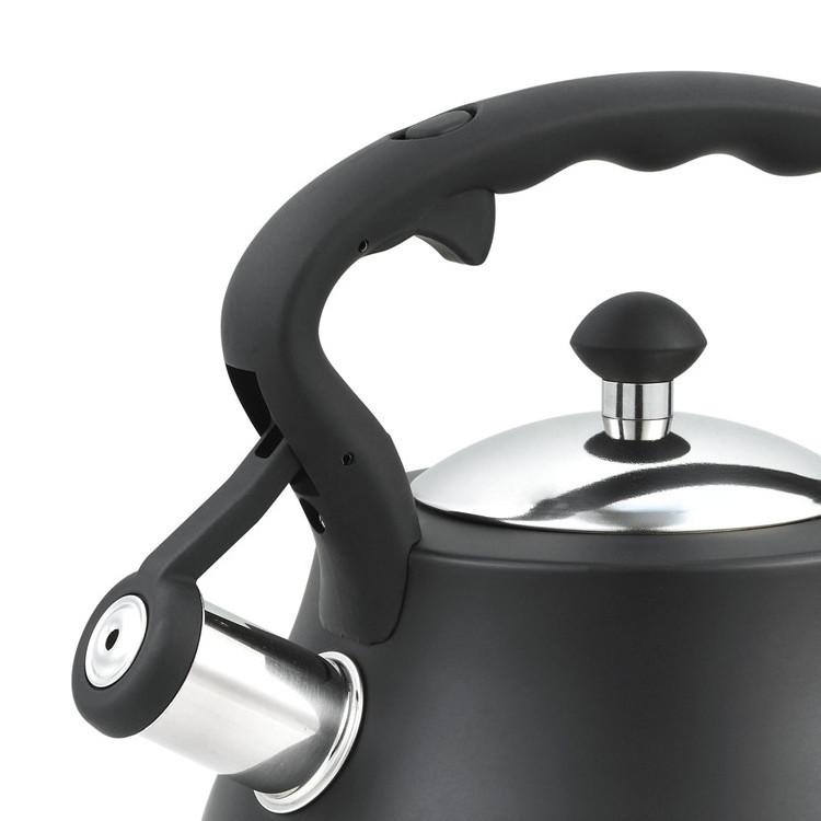 Realwin portable hotel black color coating stove stainless steel whistling tea kettle