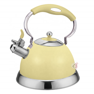 Realwin New Design Water Kettles Gas Stove Kettle Metal Tea Pot Color Coating Stainless Steel Whistling Kettle