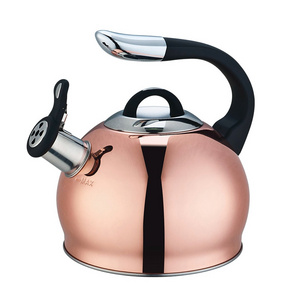 Quality New Design Metal Color Painting Whistling Tea Water Kettle