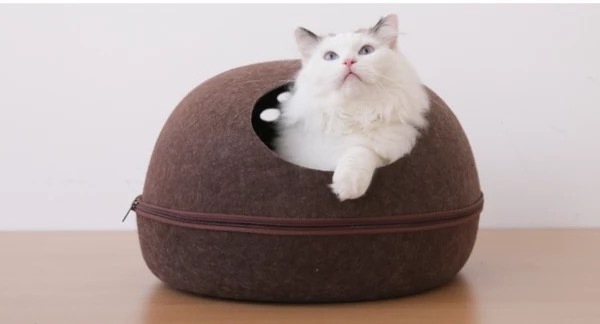 Hot Selling PET Felt Recycled Plastic Pet Furniture Cat Bed House Folding Cat Houses Organic Pet Products Wholesale