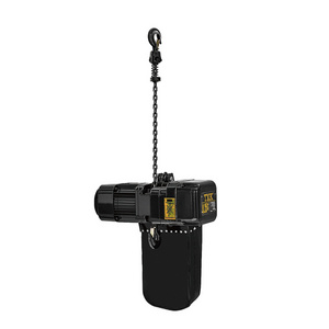 250Kg Electric Stage Hoist Stage Swing Hoist for Concert